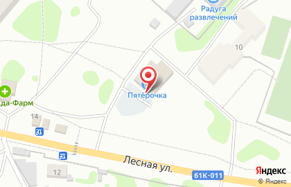 Универсам Пятёрочка на Лесной на карте