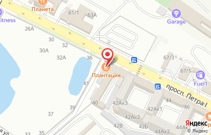 Плантация в Ленинском районе на карте