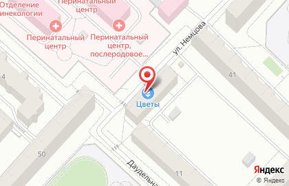 Служба доставки цветов Привет, Держи Букет! на улице Немцова на карте