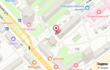 Розовая пантера на Новороссийской улице на карте