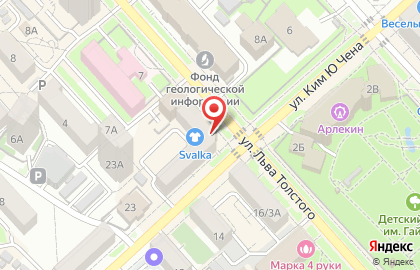 Зоомаркет Любимчик на улице Льва Толстого на карте