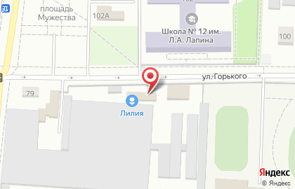 Садовый центр Лилия на улице Горького на карте
