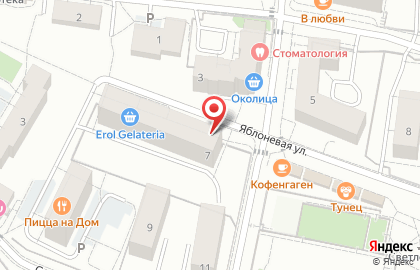 Продовольственный магазин Юлия на Яблоневой улице на карте
