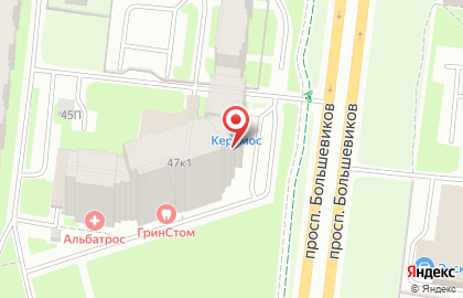 Медицинский центр Альбатрос на проспекте Большевиков на карте
