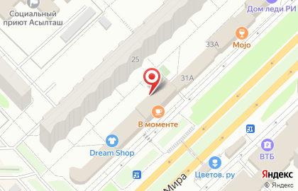 Бархатный слон на карте