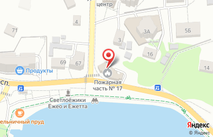 Пожарная часть №17, г. Светлогорск на карте
