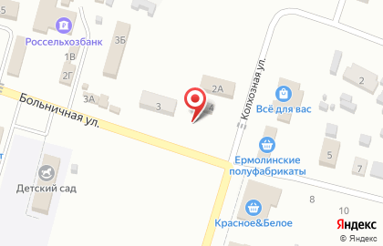 Фирменная розничная сеть магазинов Тюкалиночка на Больничной улице на карте