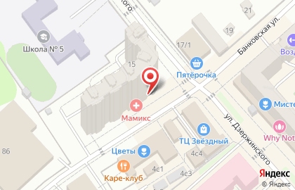 Магазин воздушных шаров SolShar24.RU на карте