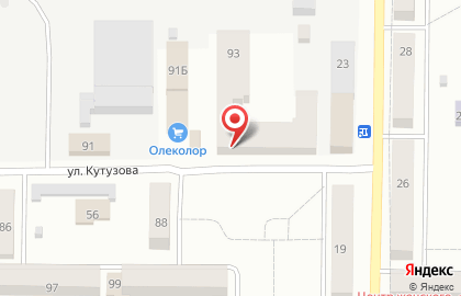 Зоомагазин Медведь на улице Кутузова на карте