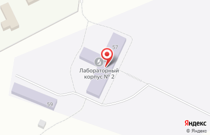 Институт физиологии им. И.П. Павлова РАН на карте