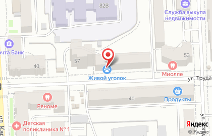 Зоомагазин Живой уголок на улице Труда на карте