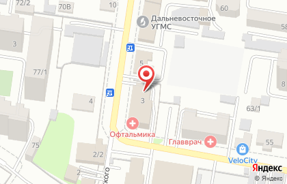 Благовещенский участок российского речного регистра на карте