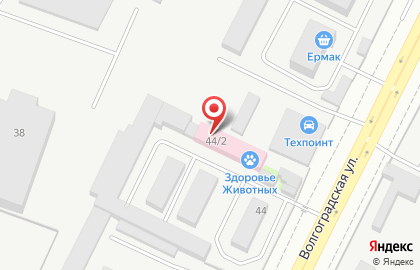 Ветеринарная клиника Здоровье животных на Волгоградской на карте