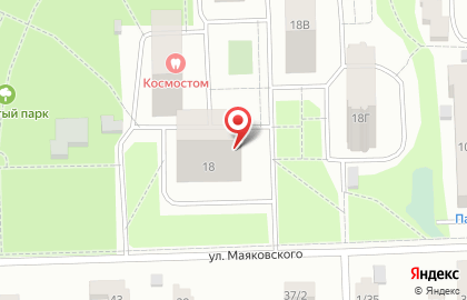 Оранжевый кот на улице Маяковского на карте