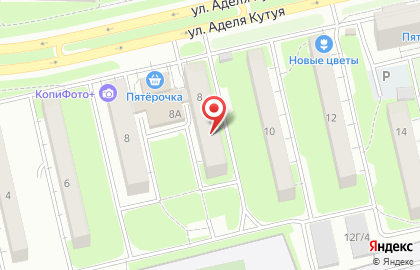 Рейна сервис на карте