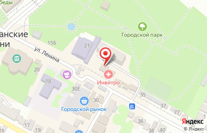 Медицинская компания Инвитро в Дагестанских Огнях на карте