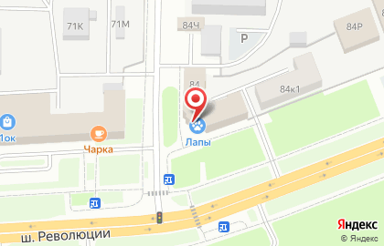 ООО Пирогрупп СПб на карте