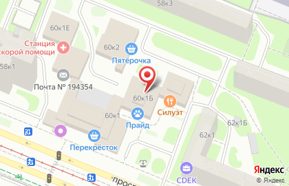 Ветеринарный госпиталь Прайд на проспекте Луначарского на карте