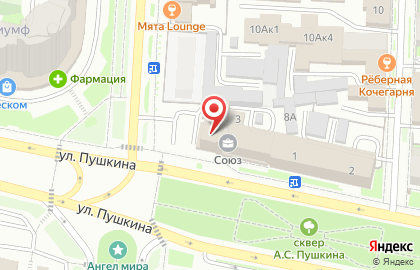 ООО Профессионал на улице Пушкина на карте