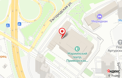 Приморская сцена Государственный академический Мариинский театр на карте