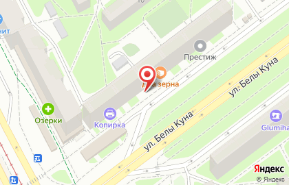 Зоомагазин PetShop.ru в Фрунзенском районе на карте