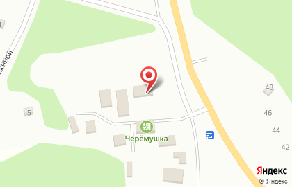 Черемушки, детский оздоровительный лагерь на карте