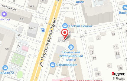 Ремонтная мастерская на Червишевском тракте на карте