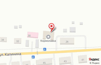 Ветеринарная аптека на Калинина на карте