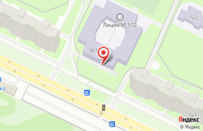 Лицей №572 Невского района Санкт-Петербурга на карте