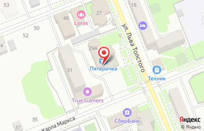 Компания Янтарь на улице Льва Толстого на карте