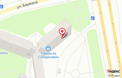 Цветочный киоск на Кольском проспекте на карте
