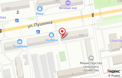 Салон-парикмахерская Аэлита на улице Пушкина на карте
