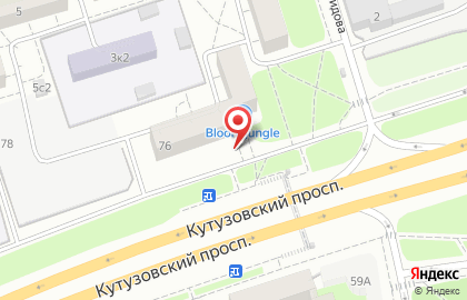 ВИТРУМ на Кутузовском проспекте на карте
