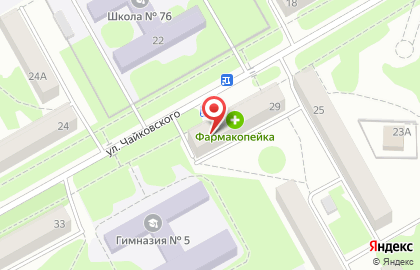 Аптека Фармакопейка на улице Чайковского, 29 на карте