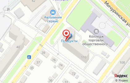 Продовольственный магазин Колледж торговли, общественного питания и сервиса на Мичуринской улице на карте