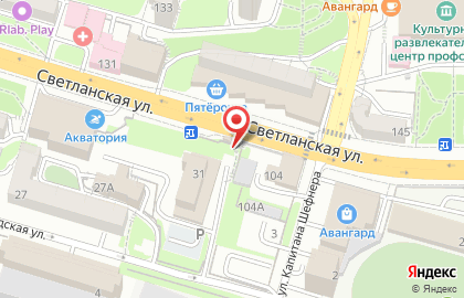 Салон Дом цветов на Светланской улице на карте