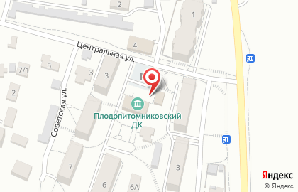 Продовольственный магазин Панорама в Центральном переулке на карте
