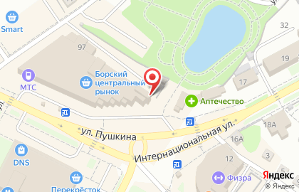 Магазин Русский сад на улице Пушкина на карте