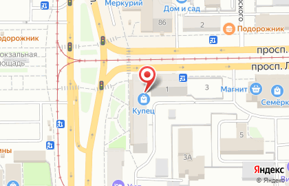 Груминг-салон Hottabych Groom на проспекте Ленина на карте