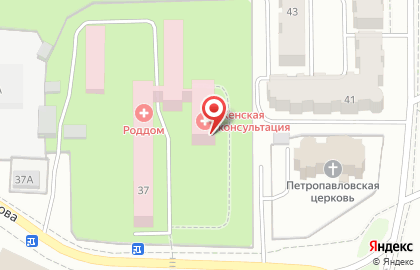 Арзамасский родильный дом в Нижнем Новгороде на карте