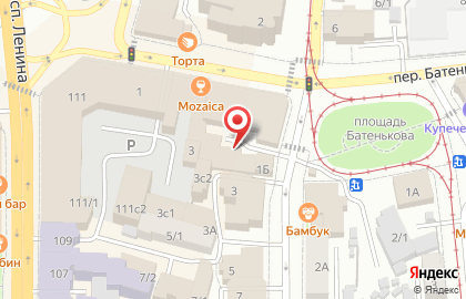 Детская игровая площадка Немо-Парк в переулке Батенькова на карте