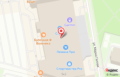 Васаби на проспекте Испытателей на карте