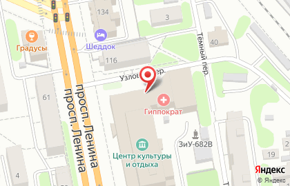 Ветеринарная аптека Зооветсервис на проспекте Ленина на карте