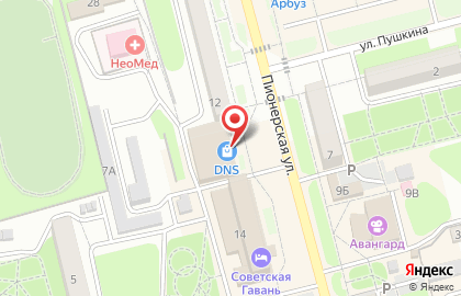 Алкомаркет Столица на Пионерской улице на карте
