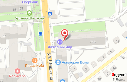 Тренажерный зал Железный мир на улице Шишкова на карте