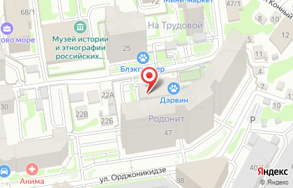 Плюшевый медведь на карте