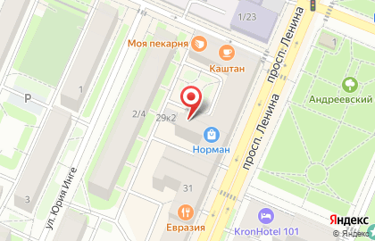 Эверест на проспекте Ленина на карте