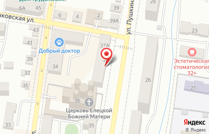 Библиотека им. М.Е. Салтыкова-Щедрина на улице Пушкина на карте