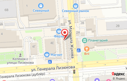 Магазин товаров для дома 1000 Мелочей на улице Генерала Лизюкова на карте