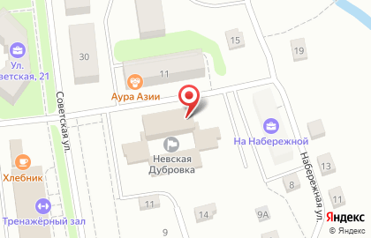 Пансионат для пожилых людей Невская Дубровка на карте
